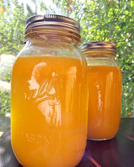 succo d'arancia fermentato
