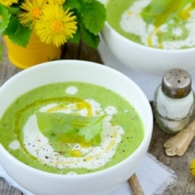 zuppa-di-fagioli-verdi-germogliati_asse-intestino-cervello